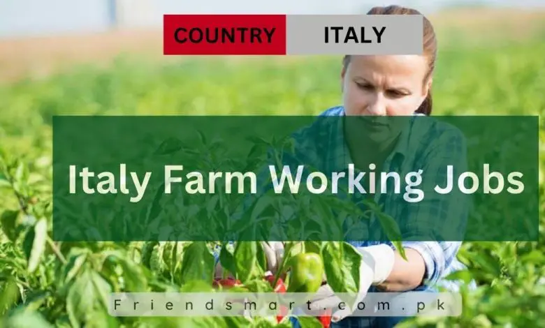 Photo of Italy Farm Working Jobs 2024 Visa Sponsorship – Apply Now