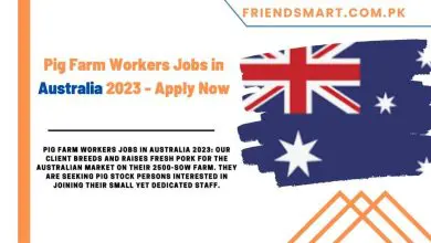 Photo of Pig Farm Workers Jobs in Australia 2023 – Apply Now