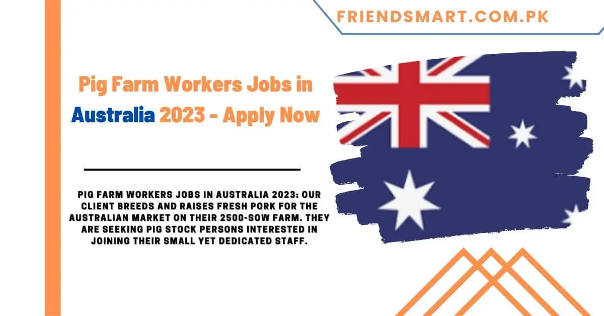 Pig Farm Workers Jobs in Australia 2023 - Apply Now