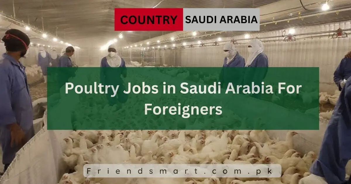 Poultry Jobs in Saudi Arabia For Foreigners