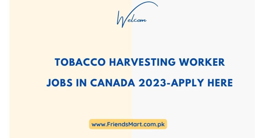 Tobacco Harvesting Worker Jobs In Canada 2023-Apply Here