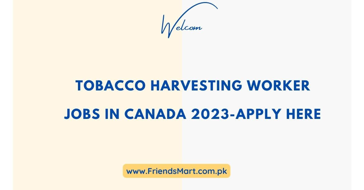 Tobacco Harvesting Worker Jobs In Canada 2023Apply Here