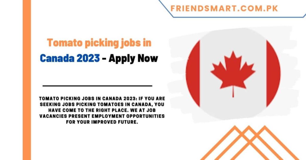 Tomato picking jobs in Canada 2023 - Apply Now