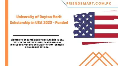 Photo of University of Dayton Merit Scholarship in USA 2023 – Funded