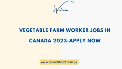Photo of Vegetable Farm Worker Jobs In Canada 2023-Apply Now