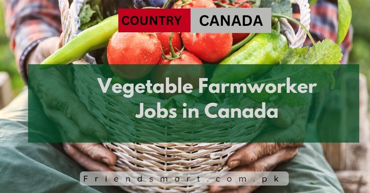 Vegetable Farmworker Jobs in Canada