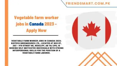 Photo of Vegetable farm worker jobs in Canada 2023 – Apply Now