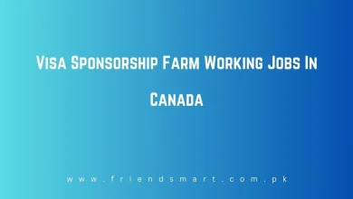 Photo of Visa Sponsorship Farm Working Jobs In Canada in 2024