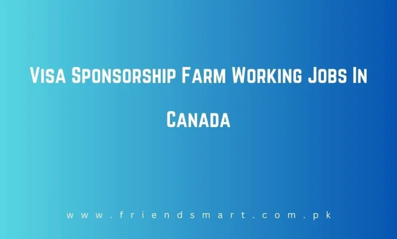 Photo of Visa Sponsorship Farm Working Jobs In Canada in 2024