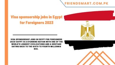 Photo of Visa Sponsorship jobs in Egypt for Foreigners 2023