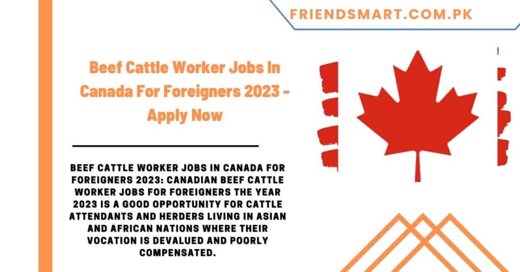 Beef Cattle Worker Jobs In Canada For Foreigners 2023 - Apply Now