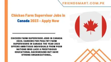Photo of Chicken Farm Supervisor Jobs in Canada 2023 – Apply Now