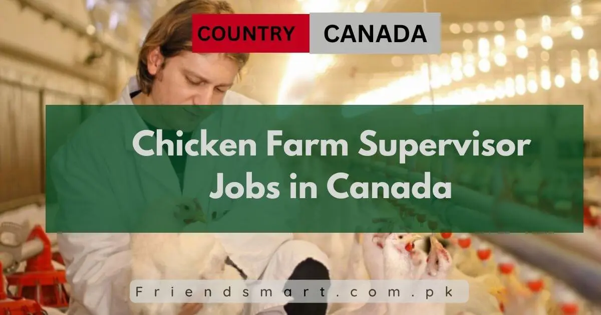 Chicken Farm Supervisor Jobs in Canada
