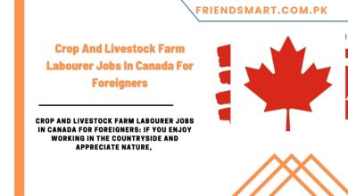 Photo of Crop And Livestock Farm Labourer Jobs In Canada For Foreigners