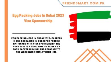 Photo of Egg Packing Jobs In Dubai 2023 Visa Sponsorship