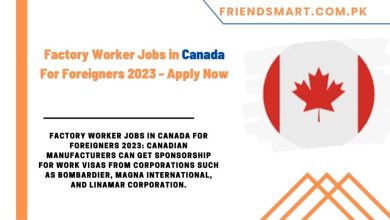 Photo of Factory Worker Jobs in Canada For Foreigners 2023 – Apply Now