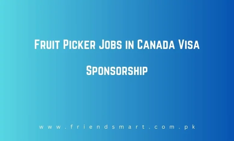 Photo of Fruit Picker Jobs in Canada Visa Sponsorship 2024