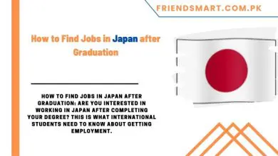 Photo of How to Find Jobs in Japan after Graduation
