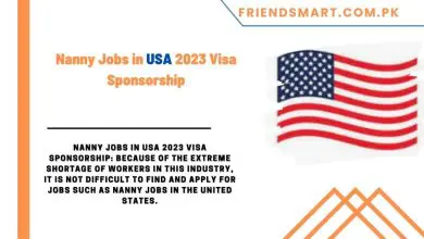 Photo of Nanny Jobs in USA 2023 Visa Sponsorship