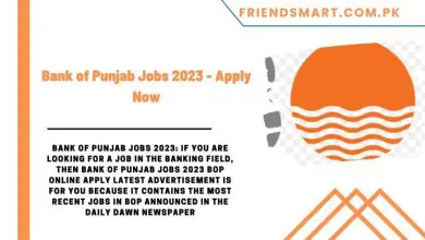 Photo of Bank of Punjab Jobs 2023 – Apply Now