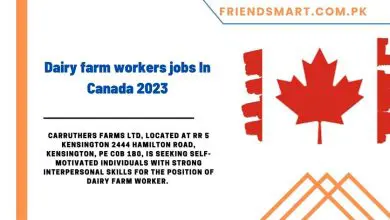 Photo of Dairy farm workers jobs In Canada 2023