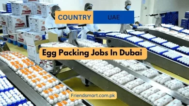 Photo of Egg Packing Jobs In Dubai 2024 Visa Sponsorship