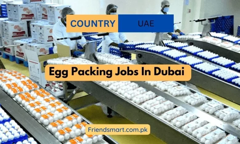 Photo of Egg Packing Jobs In Dubai 2024 Visa Sponsorship