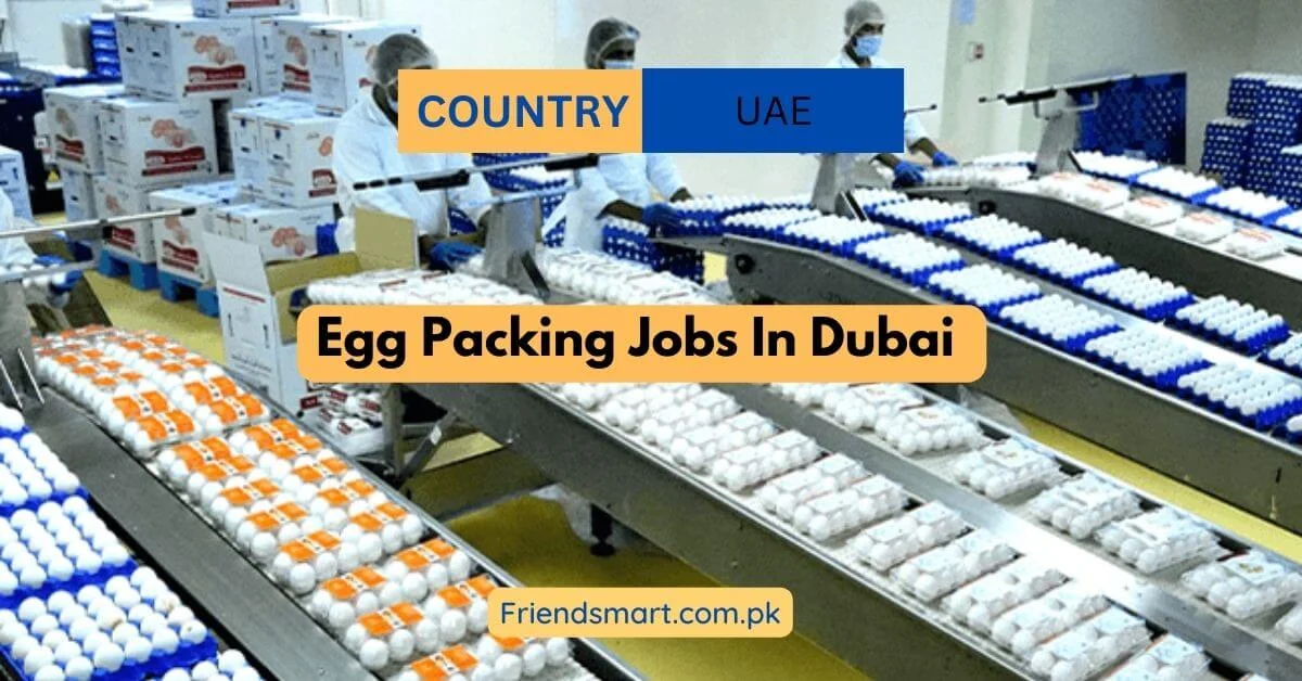 Egg Packing Jobs In Dubai