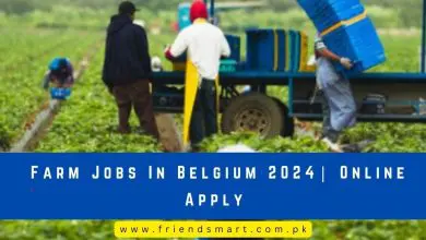 Photo of Farm Jobs In Belgium 2024| Online Apply  