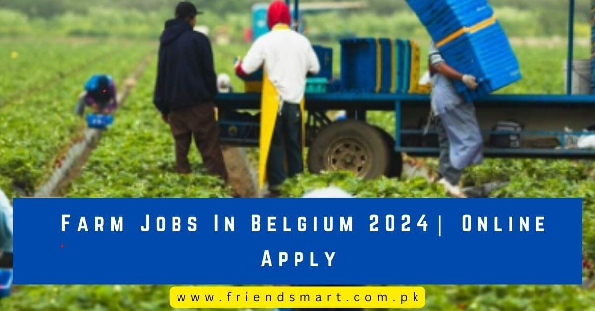 Farm Jobs In Belgium 2024 Online Apply  