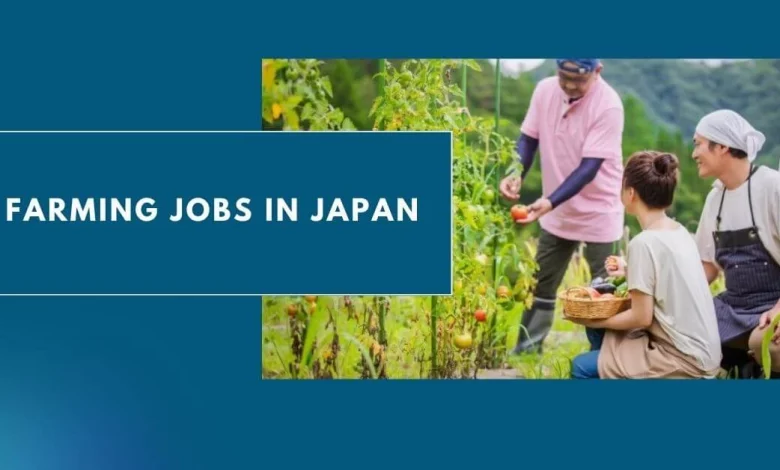 Photo of Farming Jobs in Japan 2024 – Apply Now