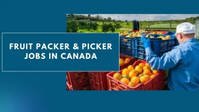 Photo of Fruit Packer & Picker Jobs in Canada 2024 – Visa Sponsorship