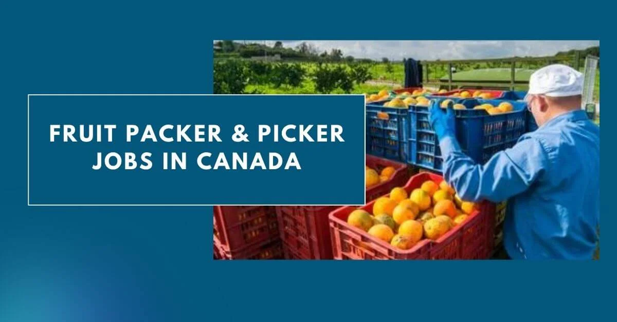 Fruit Packer & Picker Jobs in Canada
