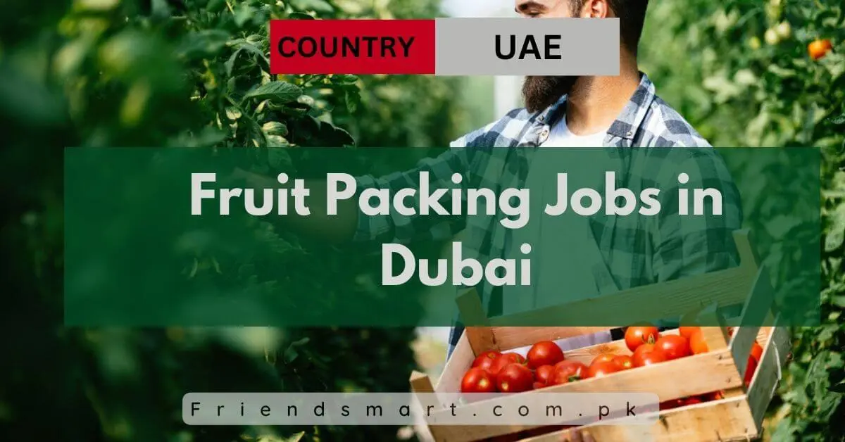 Fruit Packing Jobs in Dubai