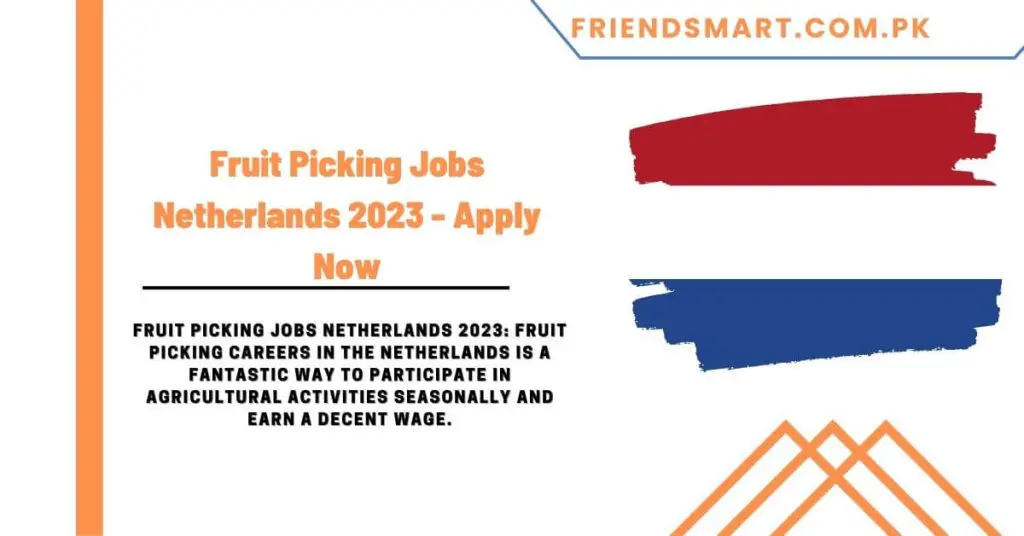 Fruit Picking Jobs Netherlands 2023
