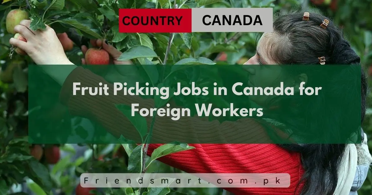 Fruit Picking Jobs in Canada for Foreign Workers