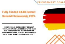 Photo of Fully Funded DAAD Helmut Schmidt Scholarship 2024