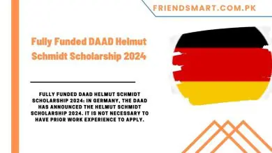 Photo of Fully Funded DAAD Helmut Schmidt Scholarship 2024