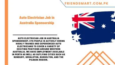 Photo of Auto Electrician Job in Australia Sponsorship