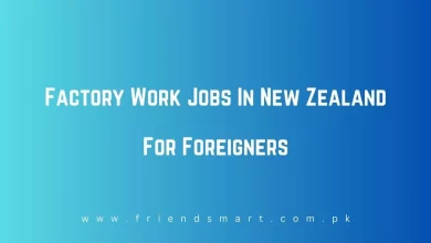 Photo of Factory Work Jobs In New Zealand For Foreigners 2024