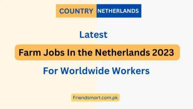 Photo of Farm Jobs In the Netherlands 2023 For Worldwide Workers – Apply Here