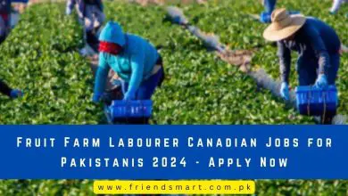 Photo of Fruit Farm Labourer Canadian Jobs for Pakistanis 2024
