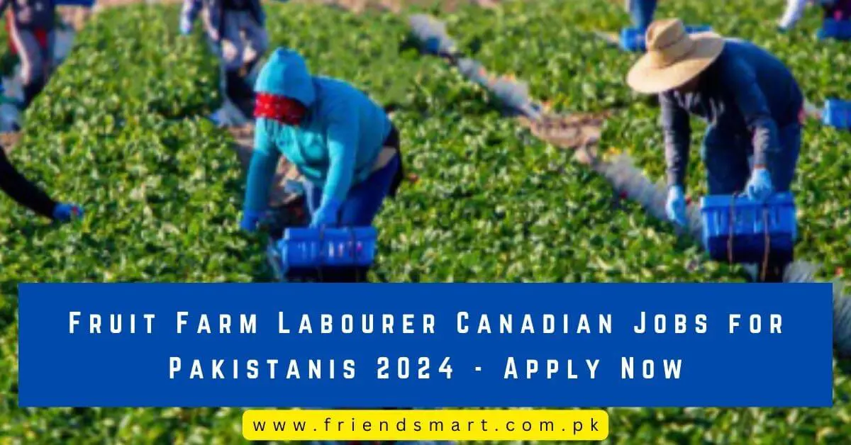 Fruit Farm Labourer Canadian Jobs for Pakistanis 2024 - Apply Now