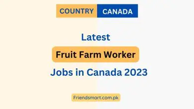 Photo of Fruit Farm Worker Jobs in Canada 2023 – Apply Here