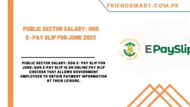 Photo of PUBLIC SECTOR SALARY: GOG E- PAY SLIP FOR JUNE 2023