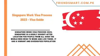 Photo of Singapore Work Visa Process 2023 – Visa Guide