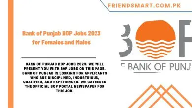 Photo of Bank of Punjab BOP Jobs 2023 for Females and Males