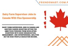 Photo of Dairy Farm Supervisor Jobs in Canada With Visa Sponsorship