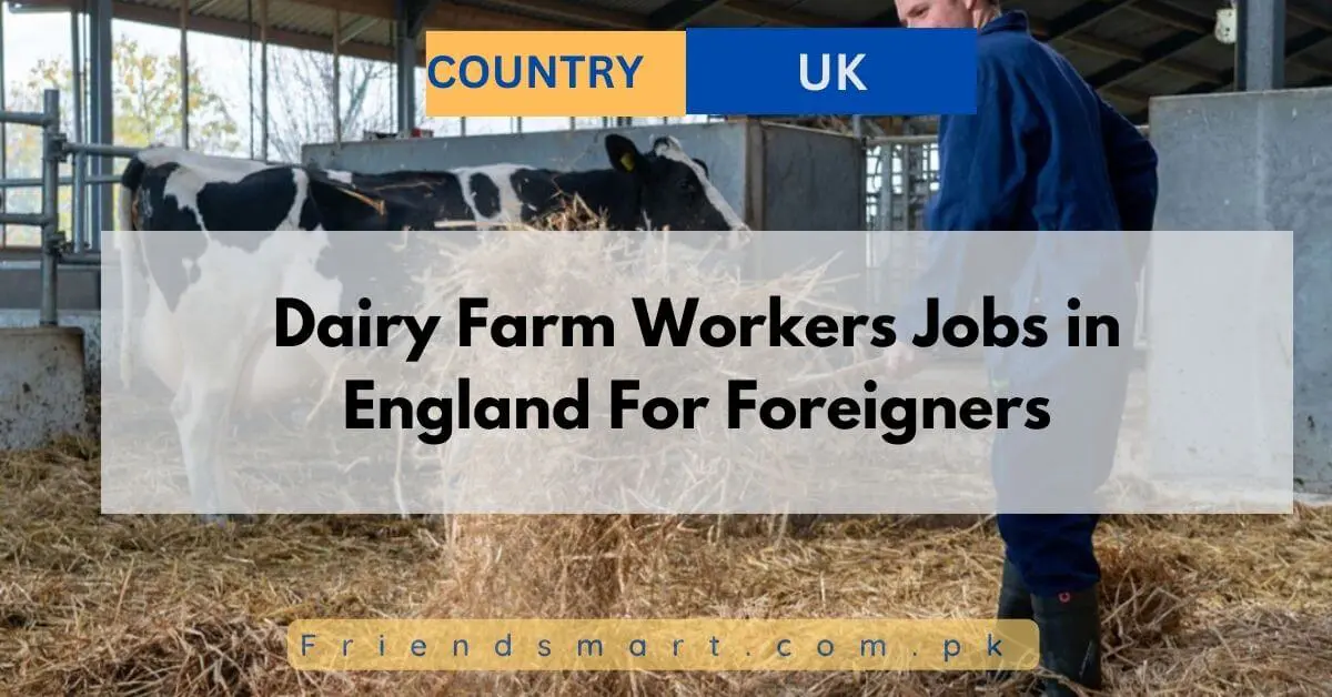 Dairy Farm Workers Jobs in England For Foreigners