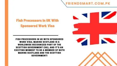 Photo of Fish Processors In UK With Sponsored Work Visa
